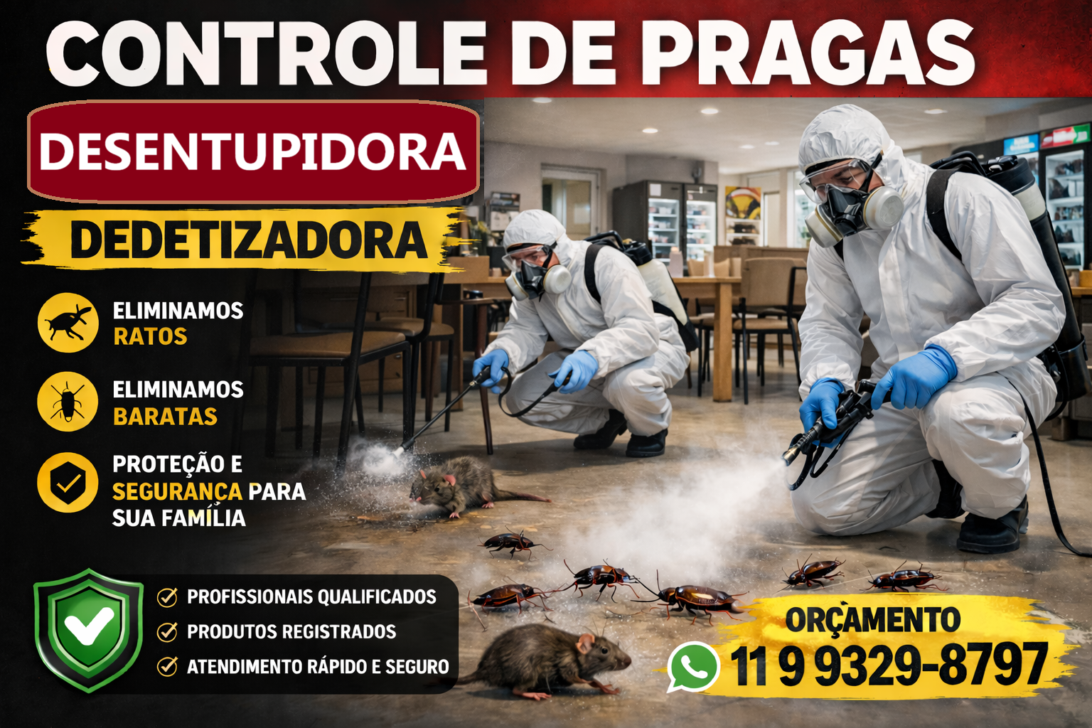 Dedetizadora e Desentupidora
